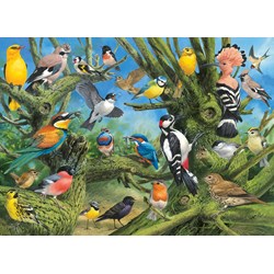 Eurographics (6000-0967) - John Francis: "Garden Birds" - 1000 pieces puzzle
