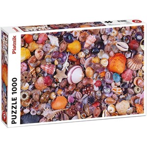 Piatnik (566349) - "Seashell" - 1000 pieces puzzle