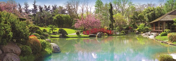 Jumbo (18571) - "Colourful Garden" - 1000 pieces puzzle