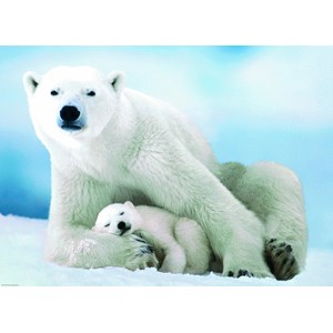 Eurographics (6000-1198) - "Polar Bear and Baby" - 1000 pieces puzzle