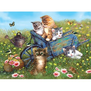 SunsOut (37186) - Giordano Studios: "Kittens on a Field Trip" - 1000 pieces puzzle
