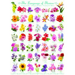 Eurographics (6000-0579) - "The Language of Flowers" - 1000 pieces puzzle