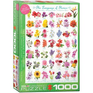 Eurographics (6000-0579) - "The Language of Flowers" - 1000 pieces puzzle