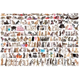 Eurographics (8220-0580) - "The World of Cats" - 2000 pieces puzzle
