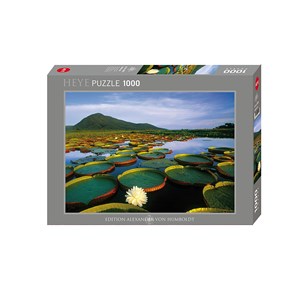 Heye (29593) - Alexander von Humboldt: "Victoria Lily" - 1000 pieces puzzle