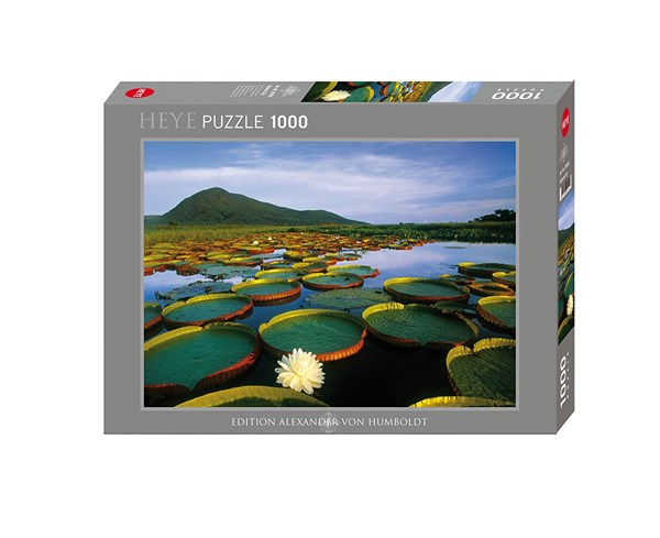 Heye (29593) - Alexander von Humboldt: "Victoria Lily" - 1000 pieces puzzle