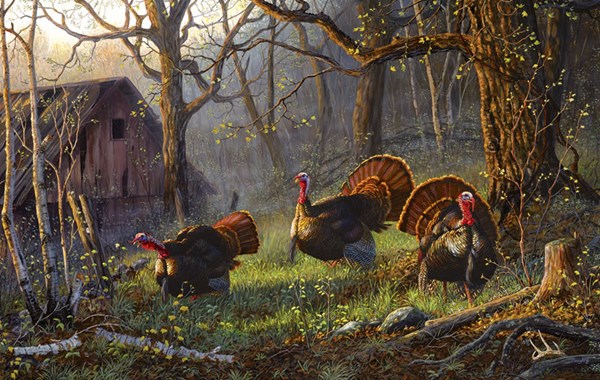 SunsOut (71075) - Terry Doughty: "Kings of the Hill" - 550 pieces puzzle