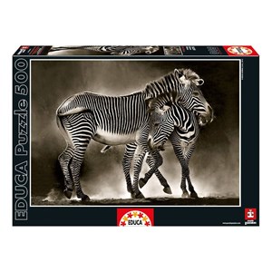 Educa (16359) - "Zebras" - 500 pieces puzzle