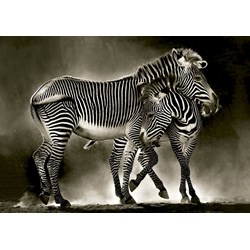 Educa (16359) - "Zebras" - 500 pieces puzzle