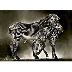 Educa (16359) - "Zebras" - 500 pieces puzzle