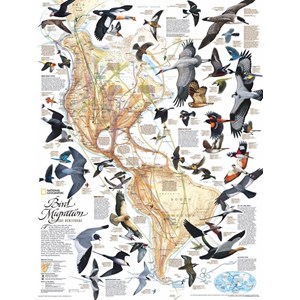 New York Puzzle Co (NPZNG1715) - "Bird Migration" - 1000 pieces puzzle