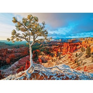 Eurographics (6000-0692) - "Winter Sunrise" - 1000 pieces puzzle