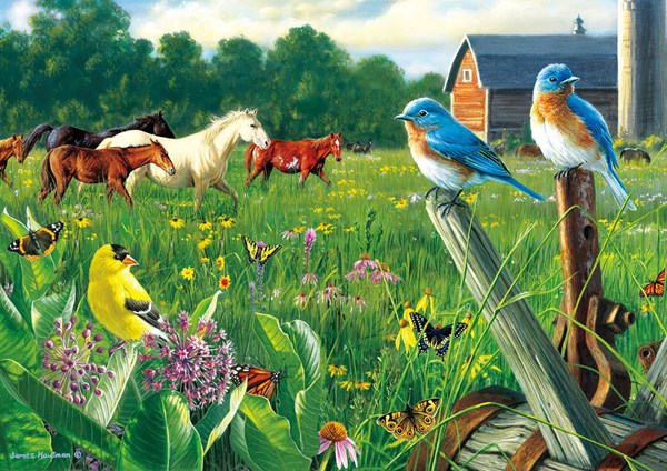 Buffalo Games (2533) - Hautman Brothers: "Country Meadow" - 300 pieces puzzle