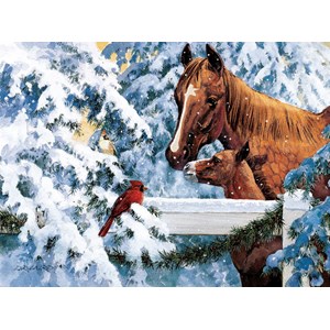 SunsOut (51266) - Douglas Laird: "Fence Top Friends" - 1000 pieces puzzle
