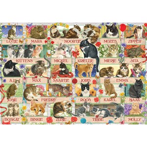 Jumbo (18324) - "Francien's Anniversary Cats" - 1000 pieces puzzle