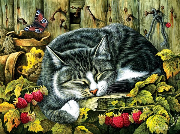 SunsOut (39425) - "Siesta" - 1000 pieces puzzle