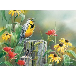Cobble Hill (51720) - "Meadowlark Morning" - 1000 pieces puzzle