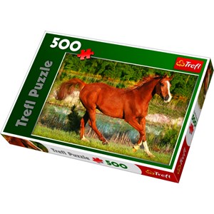 Trefl (371840) - "The Beauty Of Gallop" - 500 pieces puzzle