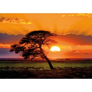 Heye (29689) - "Sunny Tree" - 1000 pieces puzzle