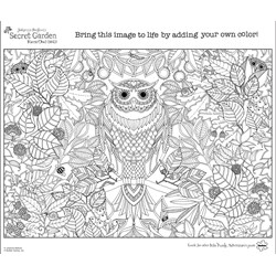 Buffalo Games (3842) - Johanna Basford: "Forest Owl" - 500 pieces puzzle