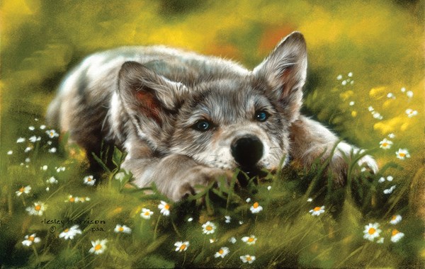 SunsOut (24755) - Leslie Harrison: "No Worries" - 550 pieces puzzle