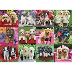 Ravensburger (14659) - Keith Kimberlin: "Puppy Pals" - 500 pieces puzzle