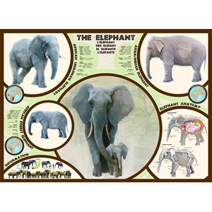Eurographics (6000-0241) - "The Elephant" - 1000 pieces puzzle