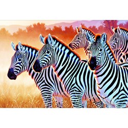 Trefl (261295) - "Zebras" - 1500 pieces puzzle