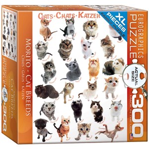 Eurographics (8300-1511) - "Cats" - 300 pieces puzzle