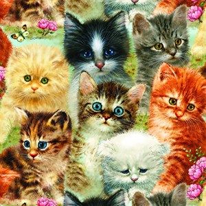 SunsOut (37116) - Greg Giordano: "A Pile of Kittens" - 1000 pieces puzzle