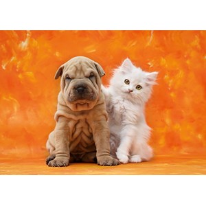 Clementoni (31634) - "So Cute" - 1500 pieces puzzle