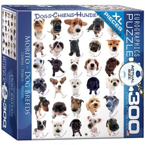 Eurographics (8300-1510) - "Dog Breeds" - 300 pieces puzzle