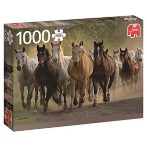 Jumbo (18541) - "Team of Horses" - 1000 pieces puzzle