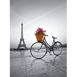 Clementoni (35014) - "Romantic Promenade in Paris" - 500 pieces puzzle