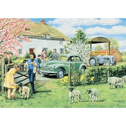 Falcon (11072) - "Spring Lambs" - 500 pieces puzzle