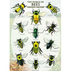 Eurographics (6000-0230) - "The World of Bees" - 1000 pieces puzzle