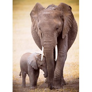 Eurographics (6000-0270) - "Elephant & Baby" - 1000 pieces puzzle