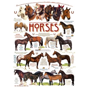 Cobble Hill (51825) - "Horse Quotes" - 1000 pieces puzzle