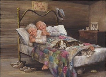 Anatolian (PER3124) - Diane Dengel: "No Place Like Home" - 1000 pieces puzzle