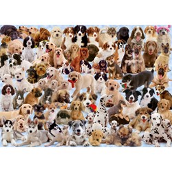 Ravensburger (15633) - "Dogs Galore!" - 1000 pieces puzzle