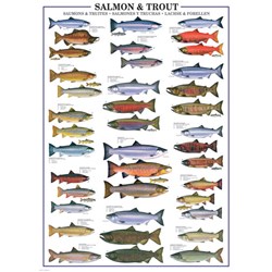 Eurographics (6000-0311) - "Salmon & Trout" - 1000 pieces puzzle
