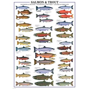 Eurographics (6000-0311) - "Salmon & Trout" - 1000 pieces puzzle