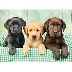 Clementoni (39279) - Greg Cuddiford: "Three Labs" - 1000 pieces puzzle