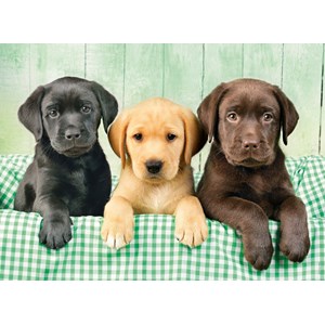 Clementoni (39279) - Greg Cuddiford: "Three Labs" - 1000 pieces puzzle