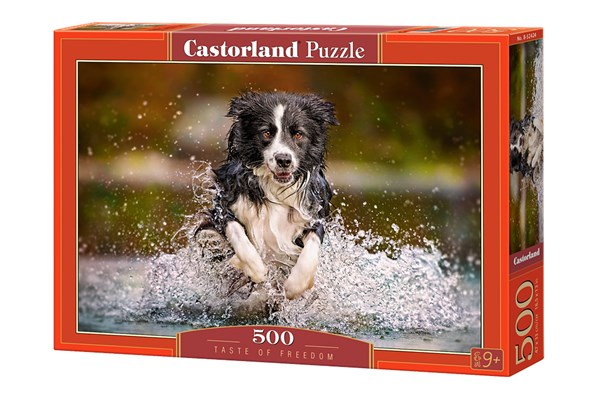 Castorland (B-52424) - "Taste of Freedom" - 500 pieces puzzle