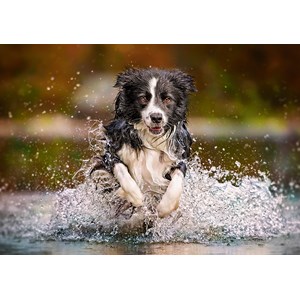 Castorland (B-52424) - "Taste of Freedom" - 500 pieces puzzle