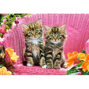 Castorland (C-103775) - "Kittens on Garden Chair" - 1000 pieces puzzle