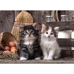 Clementoni (39340) - "Cute Kitties" - 1000 pieces puzzle