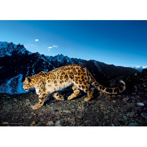 Clementoni (39376) - "Snow Leopard" - 1000 pieces puzzle