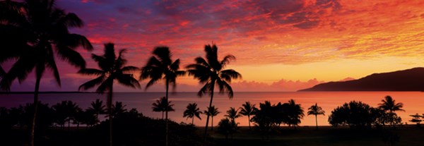 Schmidt Spiele (59308) - Mark Gray: "Trinity Bay, Cairns, Queensland, Australia" - 1000 pieces puzzle